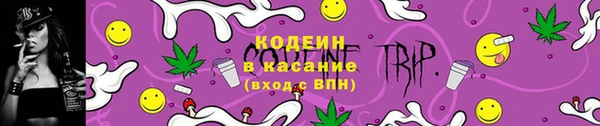 spice Бородино