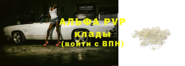 spice Бородино