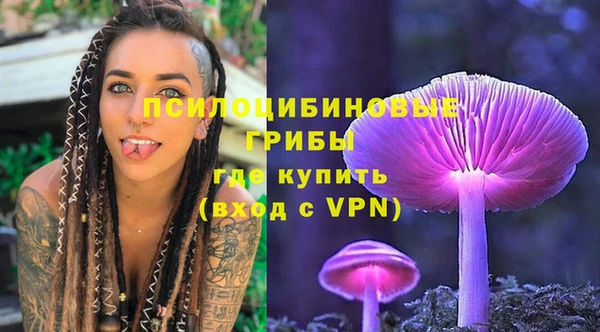 соль ск Бронницы