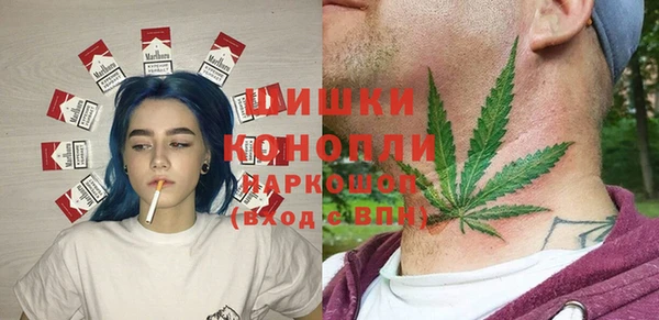 соль ск Бронницы